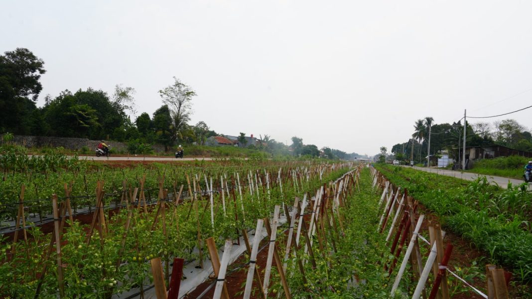 Penataan lahan Bomang di Kabupaten Bogor