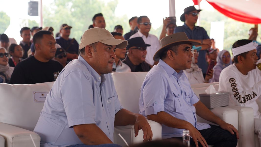 Kontes Sapi APPSI 2026 di Kabupaten Bogor
