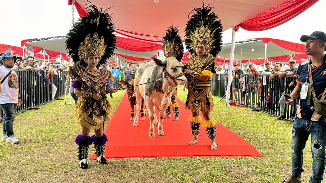 Kontes Sapi APPSI Piala Presiden 2026 di Kabupaten Bogor