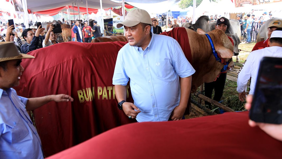 Kontes Sapi APPSI Piala Presiden 2026 di Kabupaten Bogor
