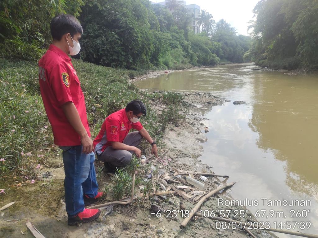 Ratusan Ikan Mati dialirkan Sungai Cileungsi Di duga Akibat Tercemar, Pihak Kepolisan Lakukan Penyelidikan