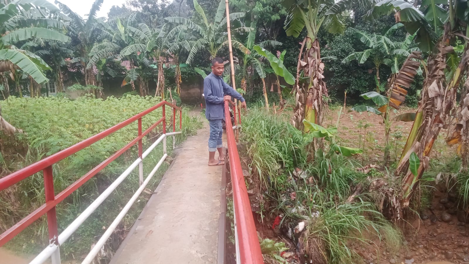 Kondisi Jembatan Berlokasi di Kp Cibeduk Mayak Desa Nagrak Ancam Keselamatan Warga 2024