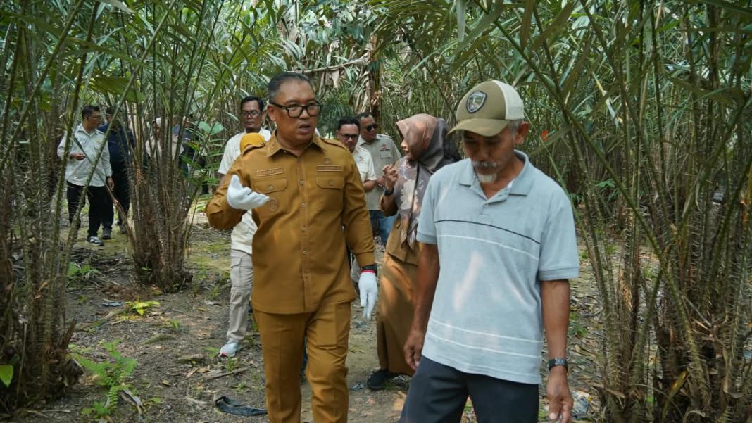 Salak Sari Intan sebagai unggulan pertanian Kepri