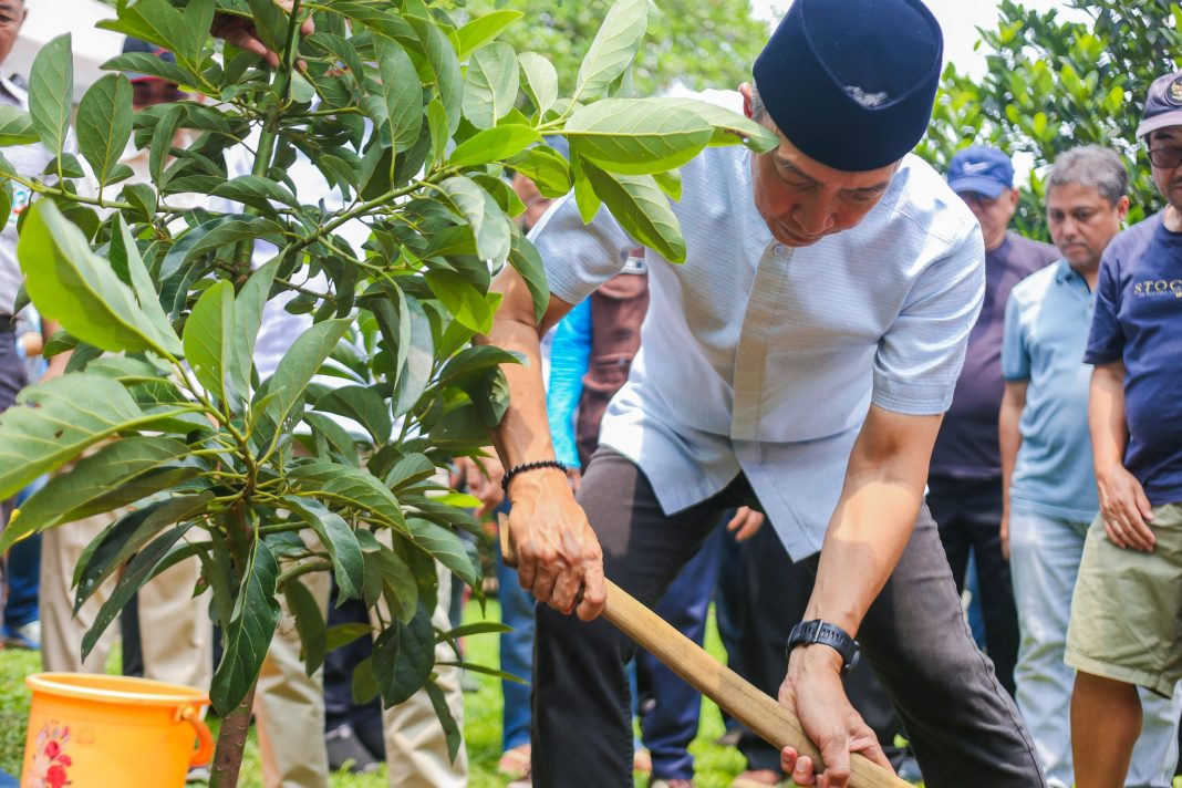 Wakaf pohon alpukat untuk lingkungan dan ekonomi