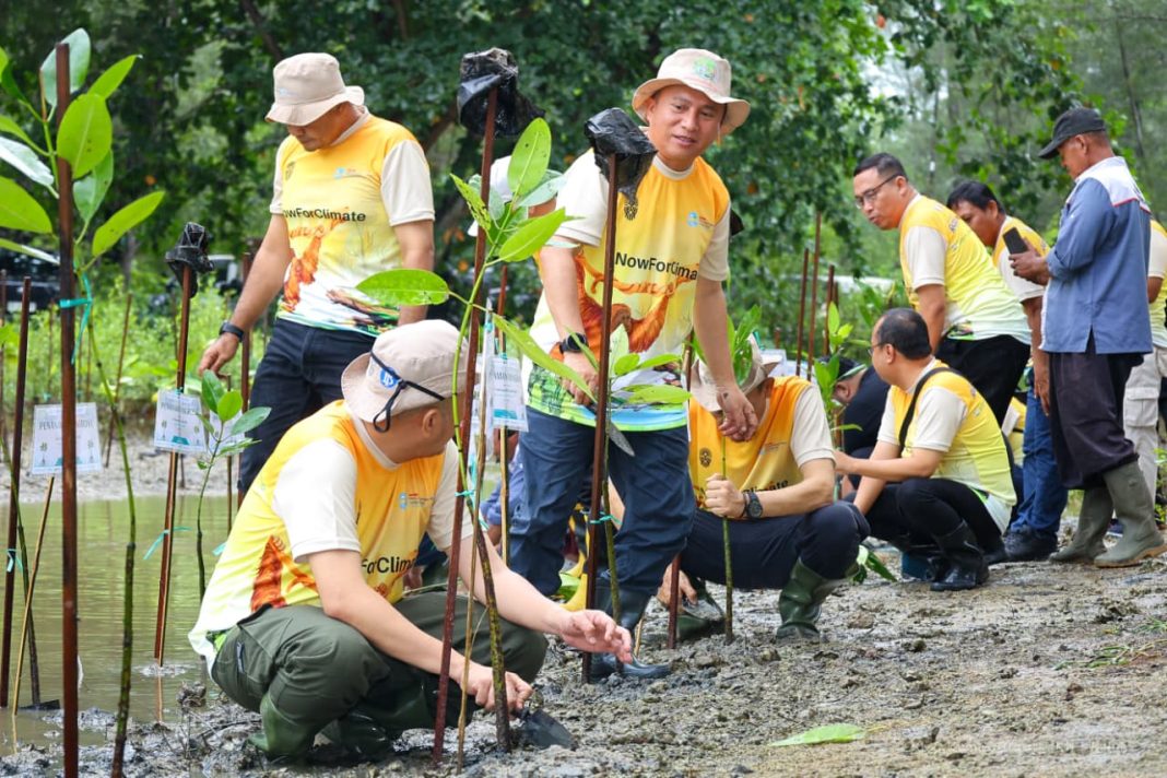 Kepala Otorita IKN Perkuat Aksi Iklim Lewat Tanam 350 Mangrove