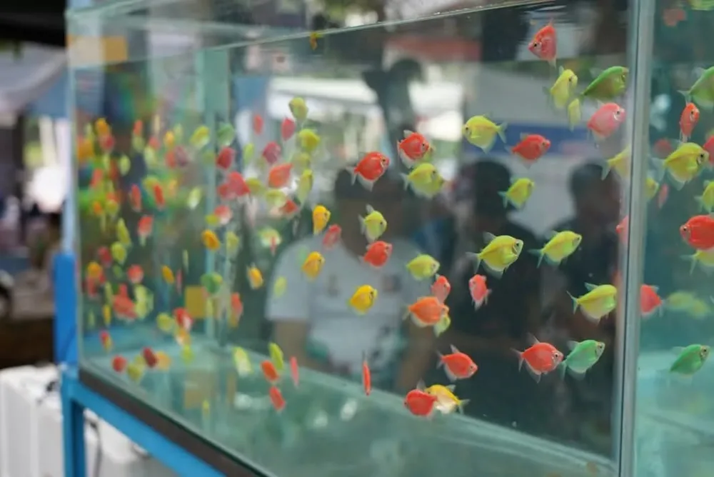 Bupati Bogor Tegaskan Perlindungan Lahan Produktif Pertanian dan Perikanan demi mewujudkan swasembada pangan