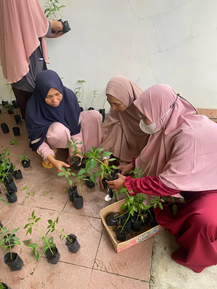 Wayang Nusantara Group Bagikan Bibit Cabai untuk Dukung Kemandirian Pangan Masyarakat