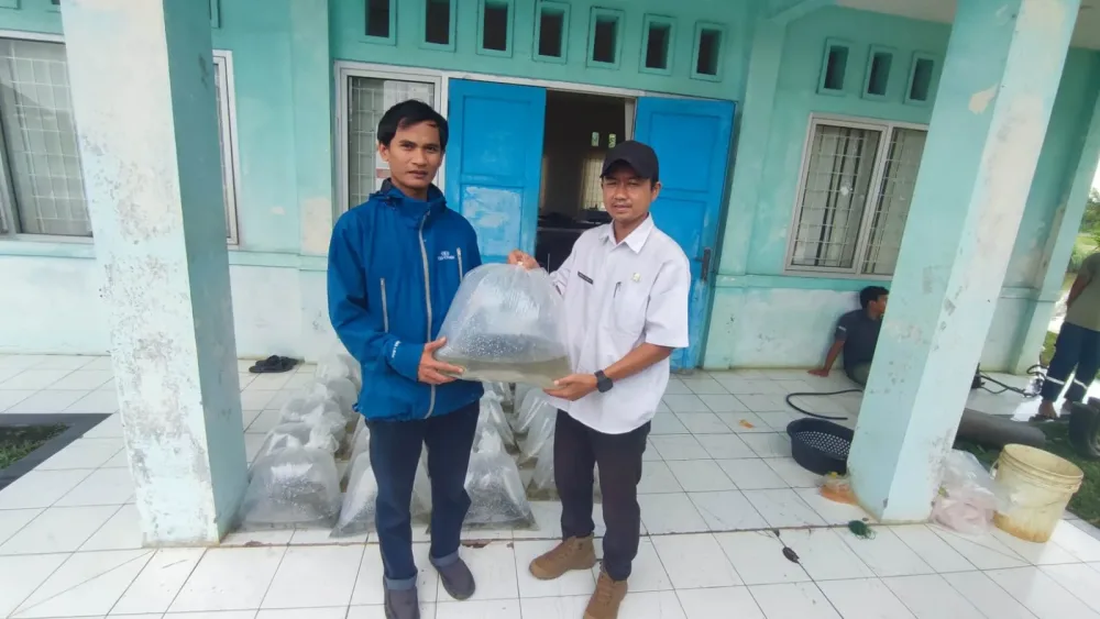 5.000 Benih Nila Disalurkan, Wujud Bogor Istimewa