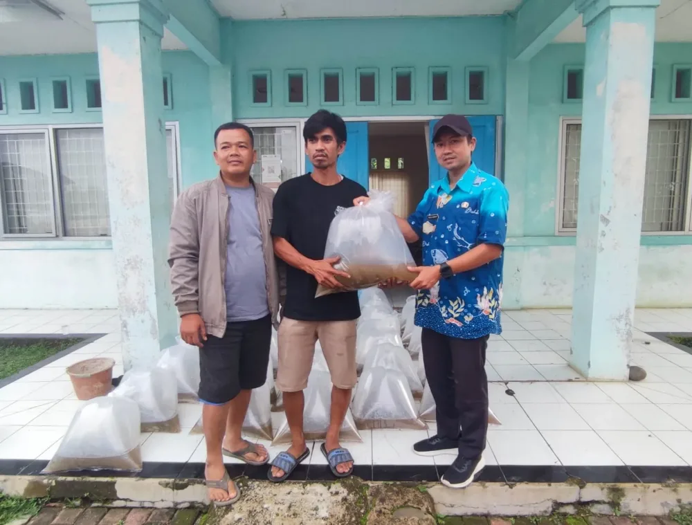 Upt BBI Cibitung Bersama DPC AJWI Kabupaten Bogor Serahkan 15.000 Benih Nila Kepada 3 Kelompok Tani Wujudkan Ketahanan Pangan