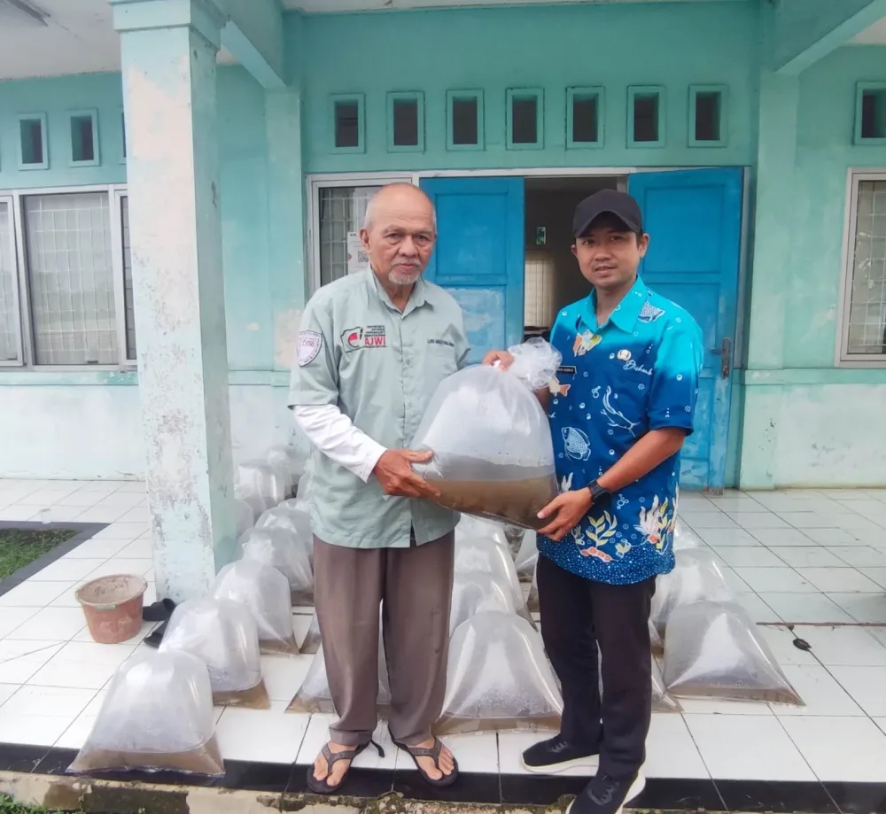 Upt BBI Cibitung Bersama DPC AJWI Kabupaten Bogor Serahkan 15.000 Benih Nila Kepada 3 Kelompok Tani Wujudkan Ketahanan Pangan