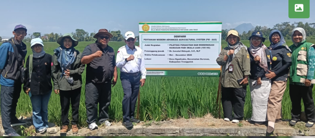 Mentan RI Perkuat Pertanian Modern, Padi Trenggalek Bidik 10 Ton/Ha