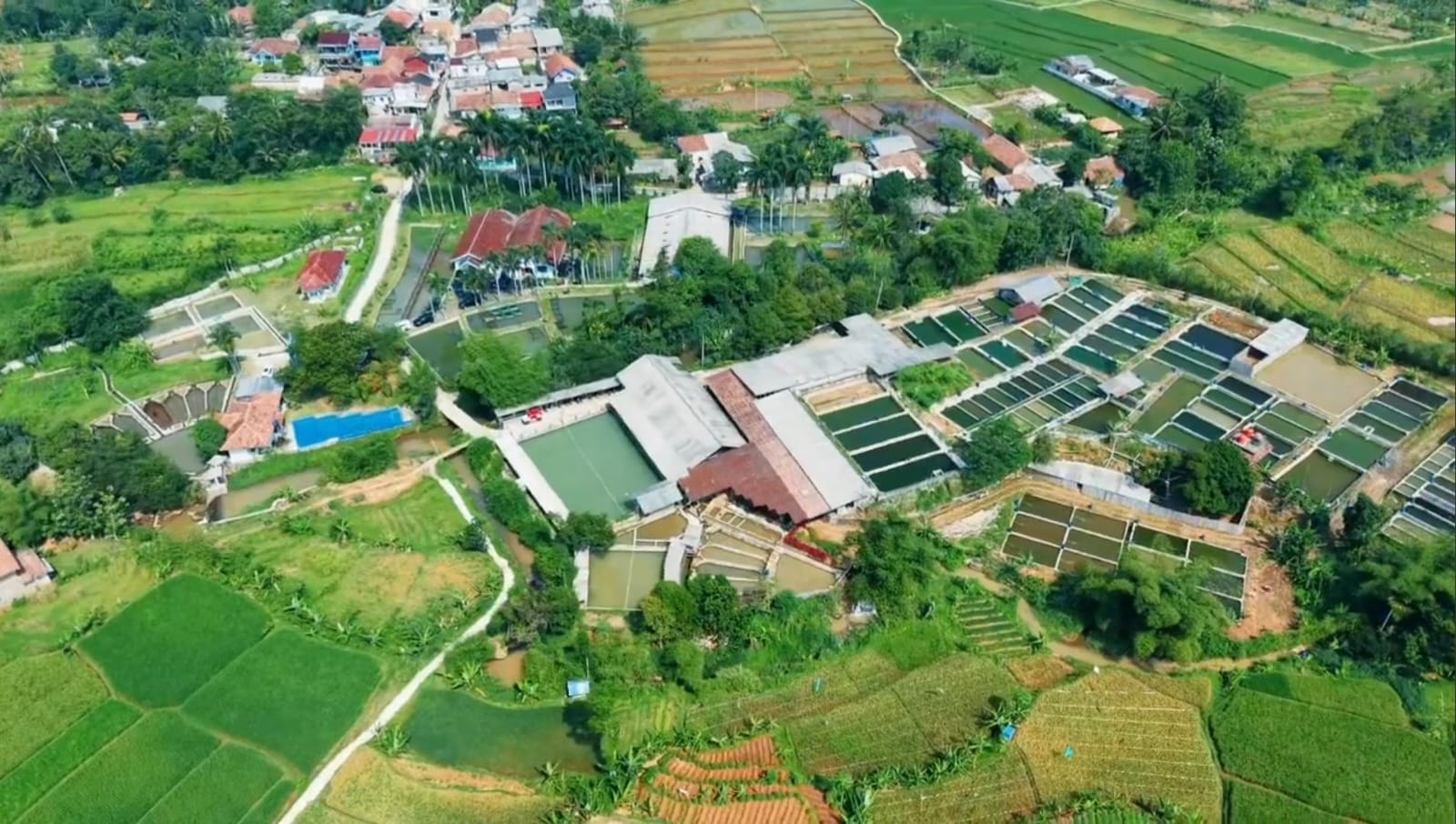 Bupati Bogor Petakan Klaster Perikanan dan Peternakan Unggulan 2026