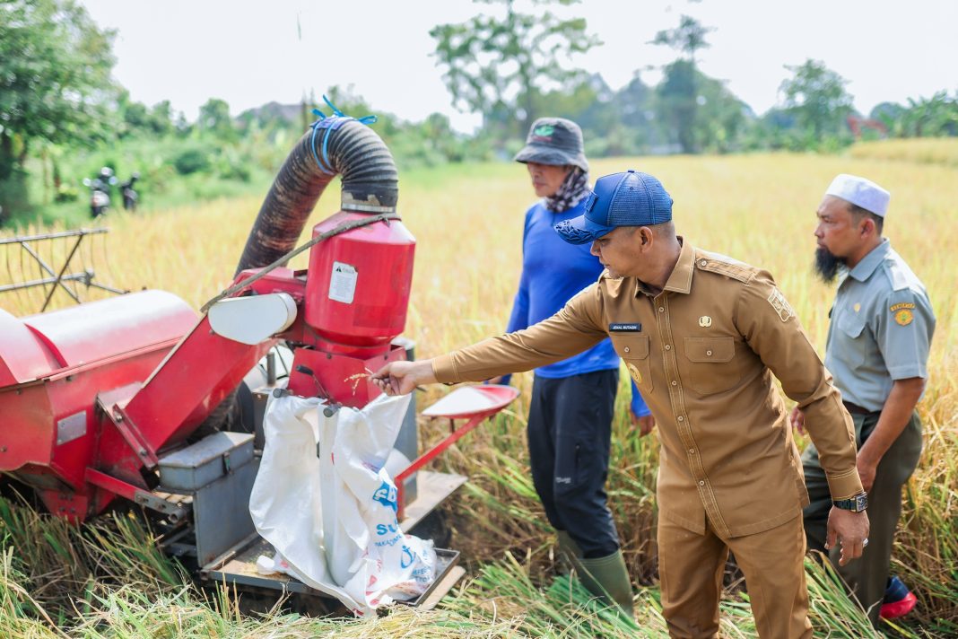 Panen raya di Katulampa untuk mendukung swasembada pangan