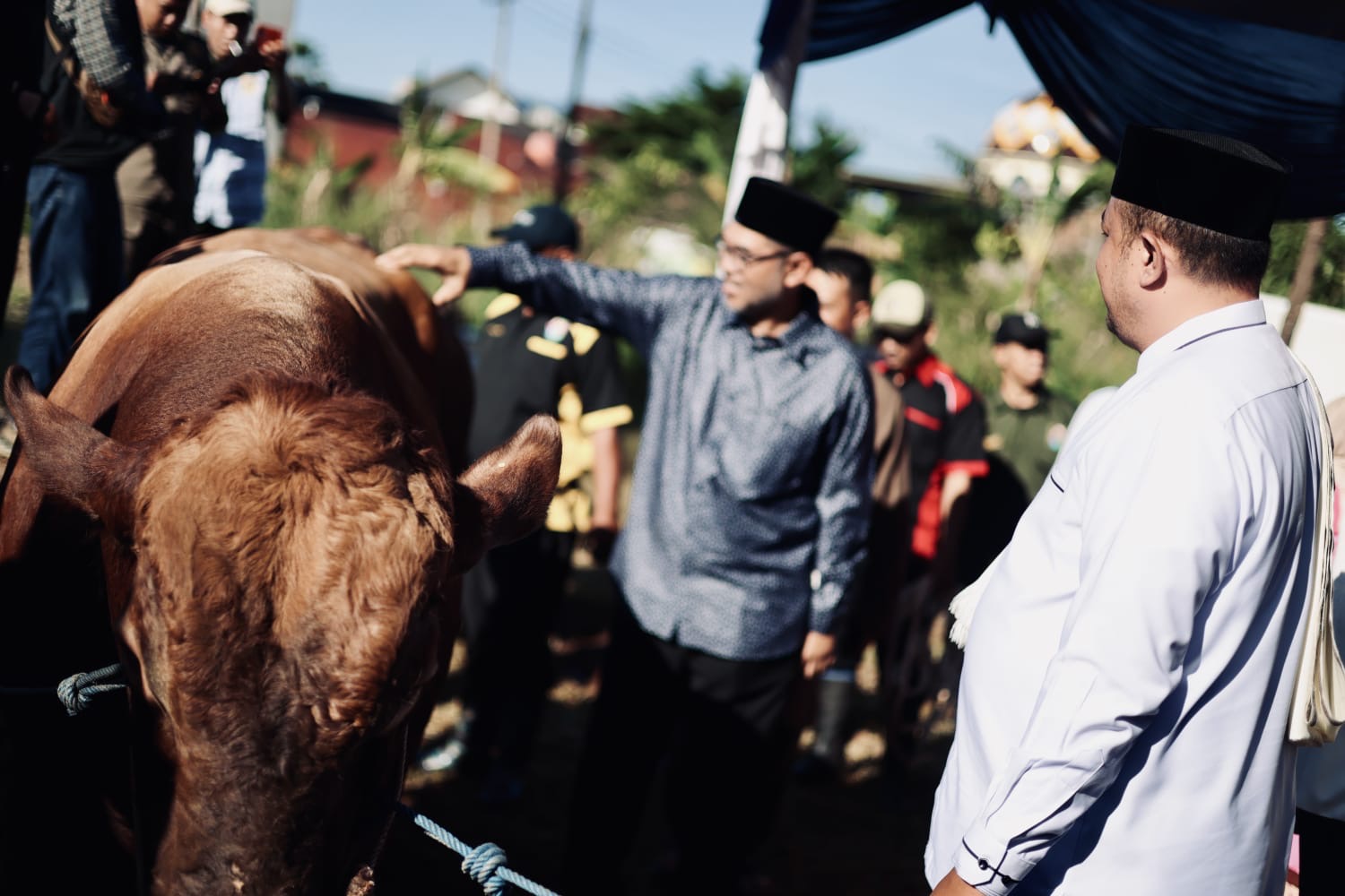 Bupati Rudy Susmanto Serahkan Hewan Kurban Bantuan Presiden untuk Warga Kabupaten Bogor 2026