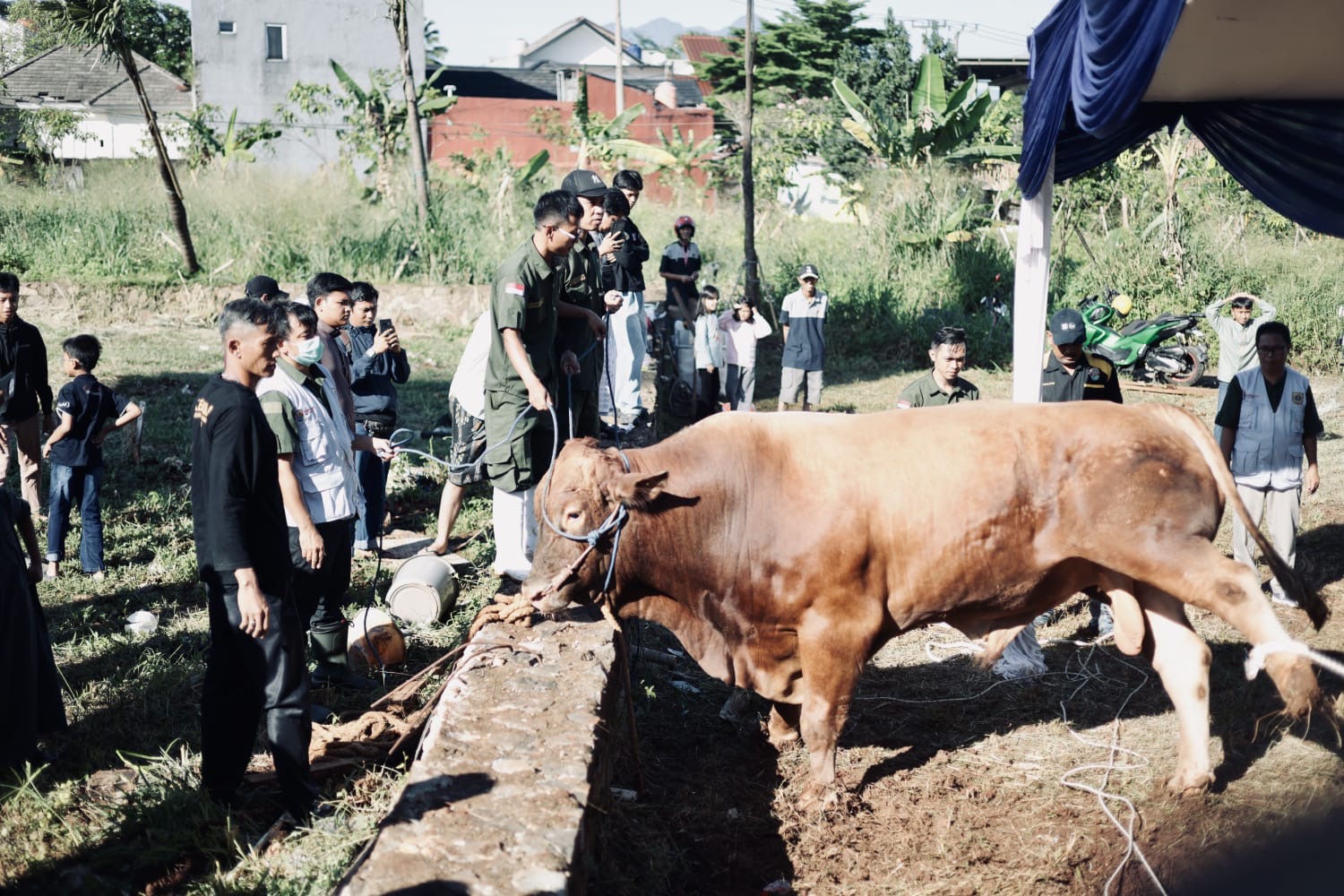 Bupati Rudy Susmanto Serahkan Hewan Kurban Bantuan Presiden untuk Warga Kabupaten Bogor 2026